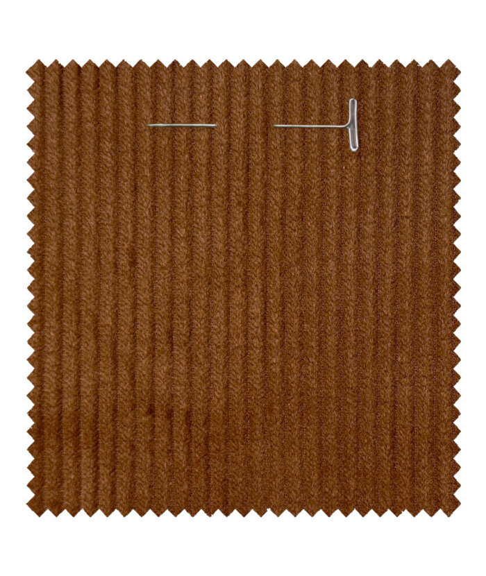 The Fashionable Corduroys